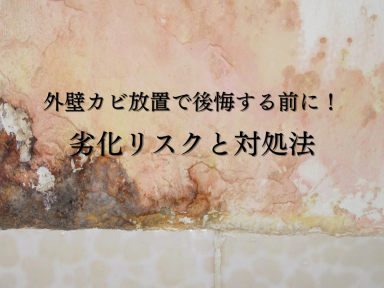 外壁カビ放置で後悔する前に！劣化リスクと対処法