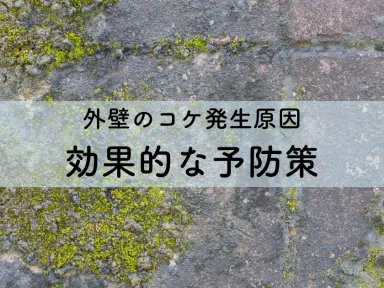 外壁のコケ発生原因とは？効果的な予防策